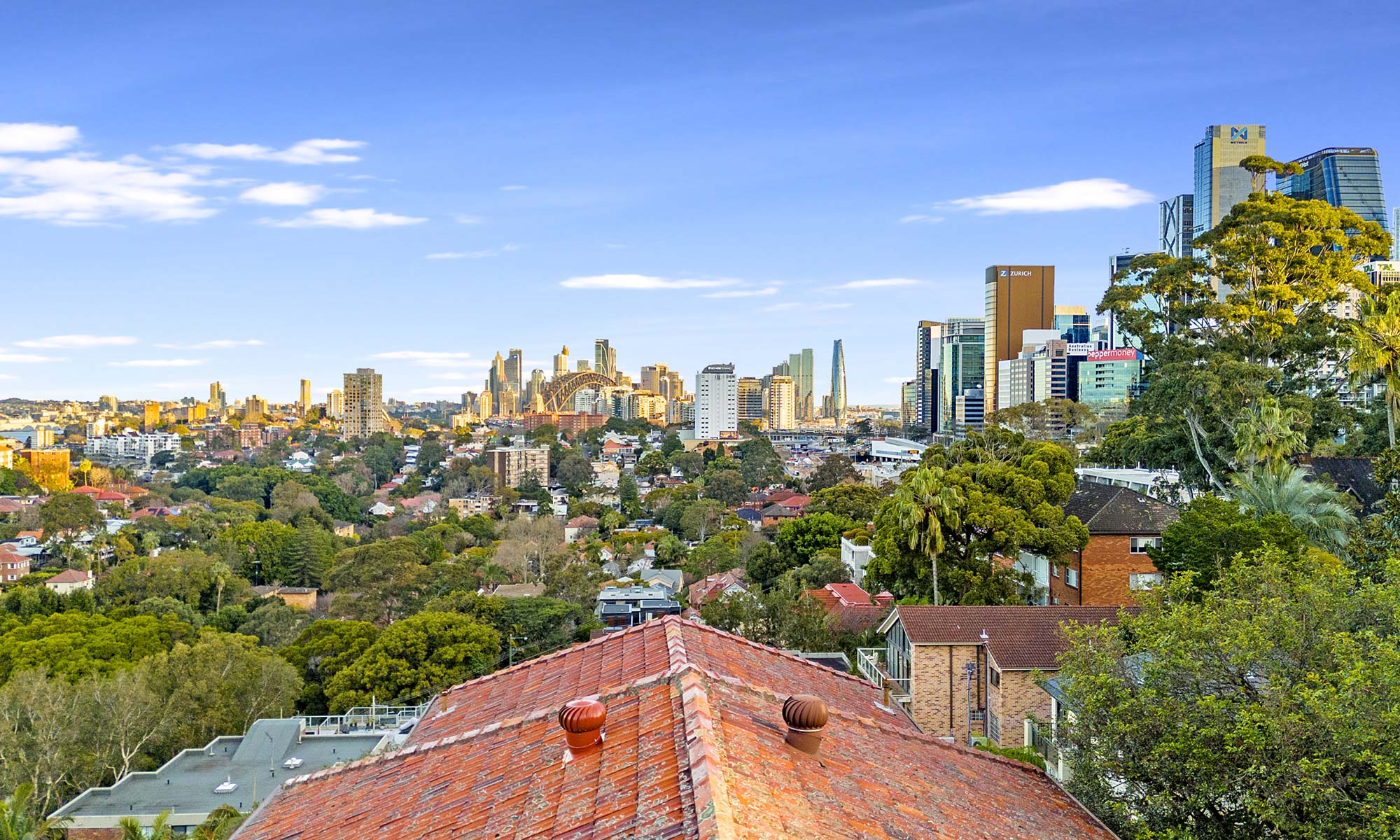 expansive view